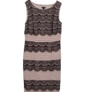 Alexa B Black And Nude Gown Size 16