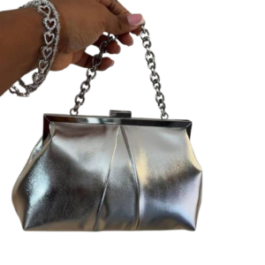 Silver Purse